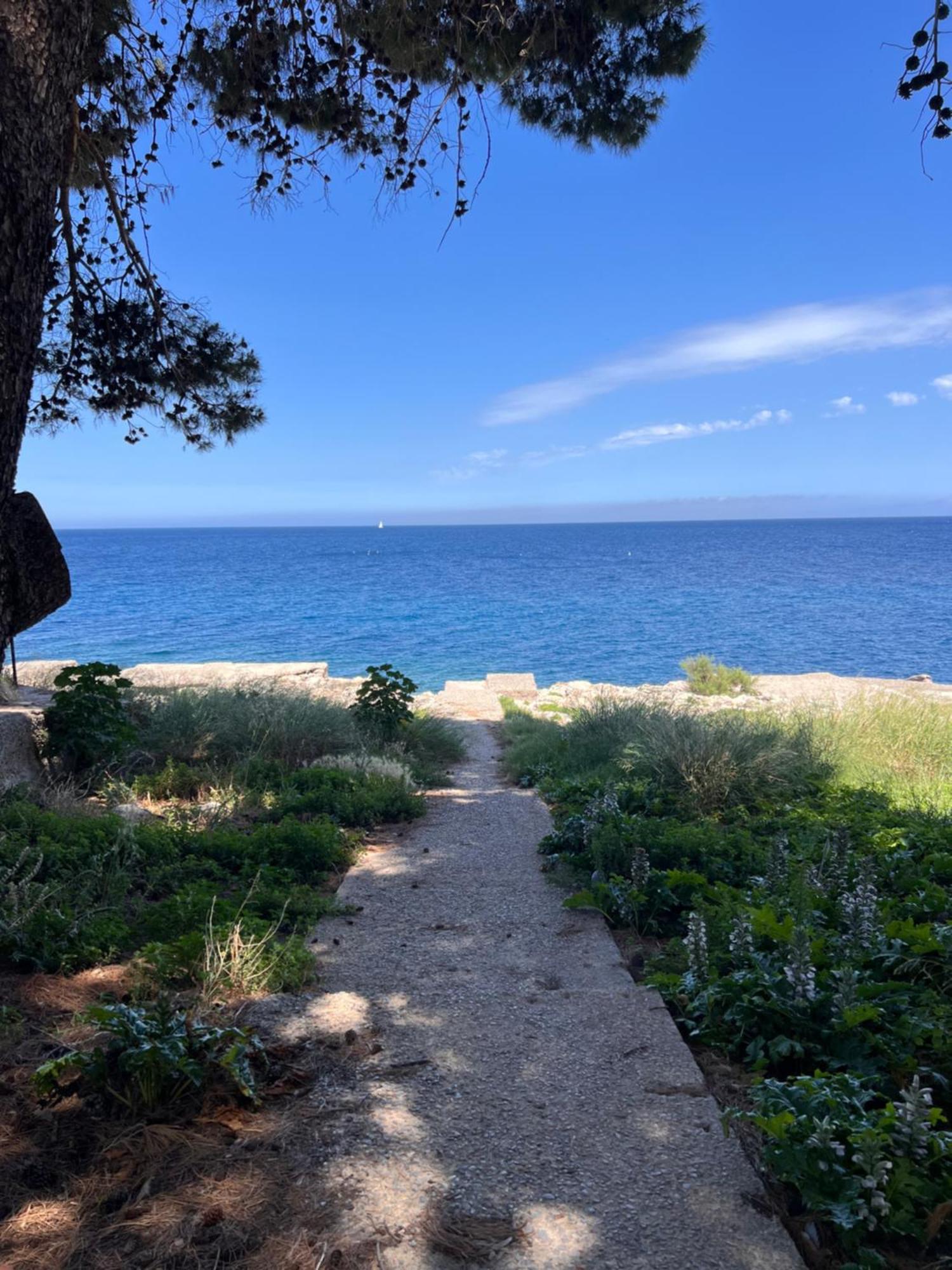Villa Banksy Addaura Mondello Palermo Dış mekan fotoğraf